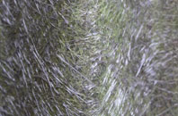 Creeton fibreglass roof work